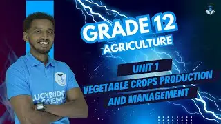 Grade 12 Agriculture Unit 1: 1.4 Types of vegetable production systems