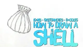 Icons - Sketchnotes - Doodles = How To Draw A Shell