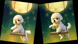 보름달만 뜨면 수상한 행동을 하는 강아지 : This Dog Acts Strange Every Moonlit Night