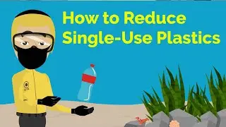 How to Reduce Single-Use Plastics