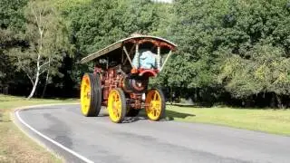 Steam in The New Forest