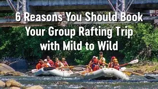 6 Reasons to Book Your Group Rafting Trip With Mild to Wild | Mild to Wild Rafting & Jeep Tours