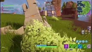 Bush Tactics & Impulse Clutch
