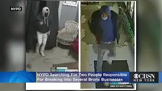 Police: Burglars Break Their Way Into Bronx Businesses, Steal Alcohol, Candy And Cash