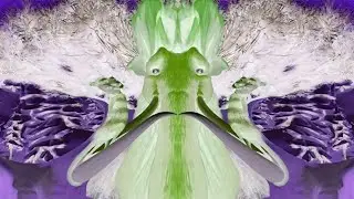 Ice Age 3! There's an Earthquake! (Sponsored By: Gamavision Csupo Effects) 
