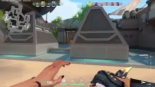 gekko hold a mid