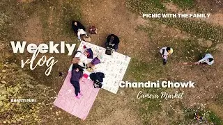 Picnic With The Family and Chandni Chowk Camera Market | Weekly Delhi Vlog