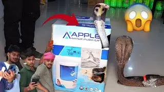 इस वीडियो को देखकर आप भी हो जाए सावधान, कोबरा सांप को कैसे पाइप से बाहर निकाला गया!😱🐍Dangerous Snake