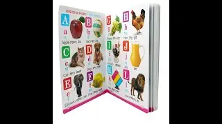 My First Board Book All in one English - Hindi