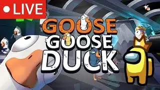 Bora jogar de Goose Goose Duck Deixa muito like e fiquem na live