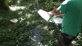 Vintage F2C engine run up