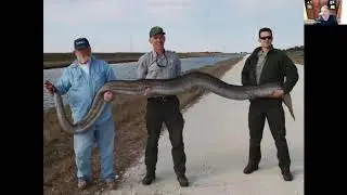 Invasive Species of the Southeast