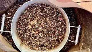 Worm Bin Harvest ASMR