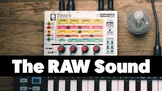 Fred's Lab Töörö - The RAW Sound