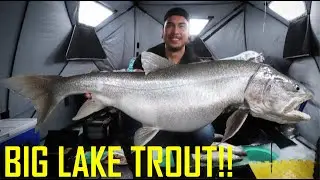 Catching Big Northern Manitoba Lake Trout!