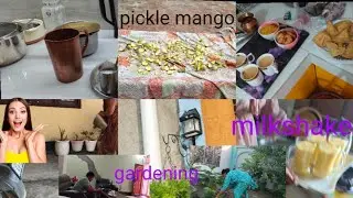 Season ka pahla mango shake for guest. 🙏🌹#housewifelife #indian #vlog.