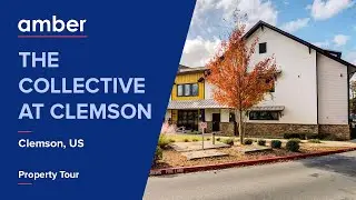 Property Tour | The Collective at Clemson, Clemson | Student Accommodation in USA | amber