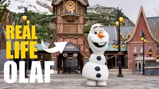 Роботы, которые создают ощущение безопасности: Disney, эмоциональный дизайн и проблема доверия.