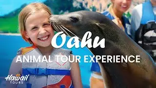 Wild Oahu Uncovered | Immersive Animal Tour Experience