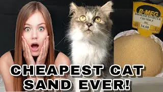 Catsand — Alternative Catsand