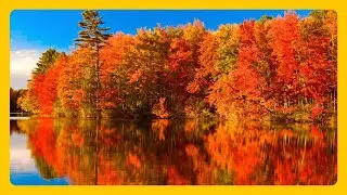 Beautiful Autumn Scenery Colors of Nature III 🍁🍂 Autumn Colors RELAXING MUSIC HD 1080P Screensaver