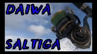 DAIWA SALTIGA, DAIWA SALTIGA 2021,SALTIGA REELS,SALTIGA,DAIWA SALTIGA SPINNING REELS,DAIWA SPINNING,