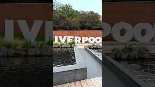 Liverpool Makers Market #liverpool #albertdocks #shopping #food #drinks