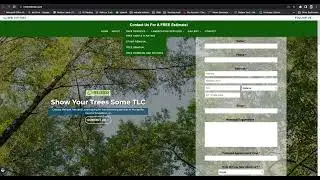 Website and Competitor Traffic Analysis for Melrose Tree & Landscaping Huntsville AL