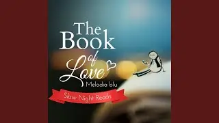 Slow Night Reads