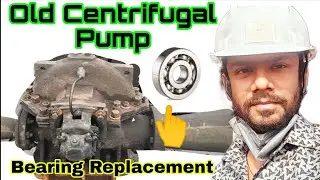 Centrifugal Pump Bearing Replacement | Centrifugal Pump Maintenance