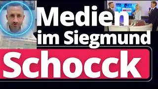 Sensationell: AfD-Programm in Sachsen-Anhalt schockt die Alt-Parteien!