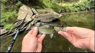 Wading the Cahaba River BFS fishing for bass 