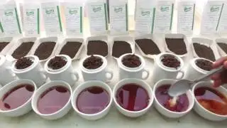 Mohani Tea tasting