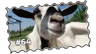 #64 - Belgrade, Serbia - Vi&scaron;njica, Vi&scaron;njička Banja and Le&scaron;će (05/2013)