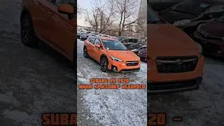 Subaru XV 2020 - яркий мини кроссовер