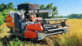 Kubota King Pro 90 HP Machine Deep Mud Paddy Cutting Work | Farming Machine | dhan kata gadi
