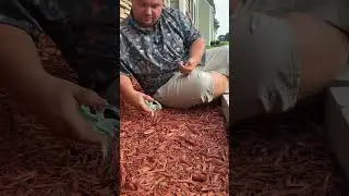 Check out my need seed planter!