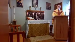 Feast of St. Martin of Tours, November 11, 2025      (also Veteran's Day in the USA)