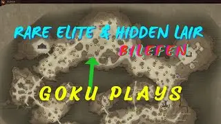 Diablo Immortal - Rare Elite & Hidden Lair LOCATION IN BILEFEN