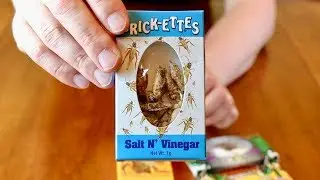 WEIRD INSECT SNACKS TASTE TEST
