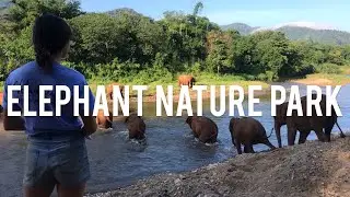 Elephant Nature Park Volunteering 2019