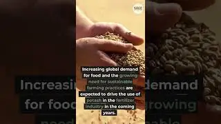 Global Fertilizer Crisis - Sage Potash