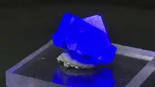 Minerals #748: Fluorite, Pocket 42, Diana Maria Mine, England, UK. ミネラルプチマルシェ in さいたま. 2025.12. 6.
