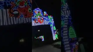 beautiful decorated lights ।। light gate #LightGate