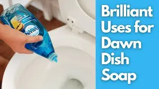 Brilliant Uses for Dawn Dish Soap