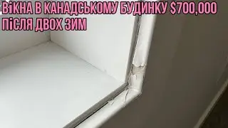 #271. Стан вікон в будинку за $700,000 після двох сезонів. Канада. Це катастрофа.