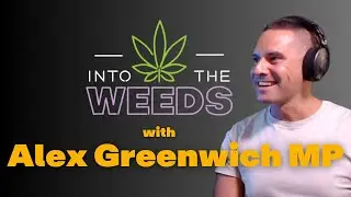 Into the Weeds with Alex Greenwich MP | Independent Leadership & Drug Law Reform in NSW