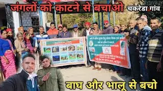जंगलों को काटने से बचाओ बाघ और भालू से बचो Chakreda Goan Nailchani Ghansali Tehri Uttarakhand 