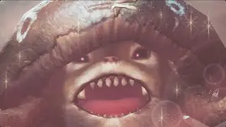 wudwuds are the best