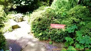 Compton Acres Gardens, August 2018,  Canford Cliffs road, Poole, Dorset   BH13 7ES. England. ( 7 )